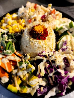 Budabowl at Cactú in Arecibo