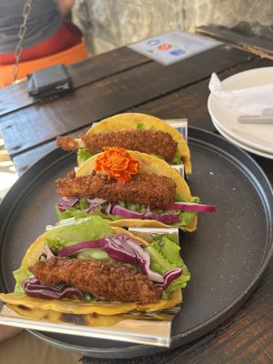 Eggplant tacos   at Cactú in Arecibo