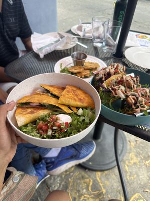 Pesto quesadillas, eggplant tacos and tostones  at Cactú in Arecibo