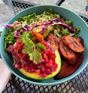 Ceviche stuffed avocado #Veganuary at Cactú in Arecibo