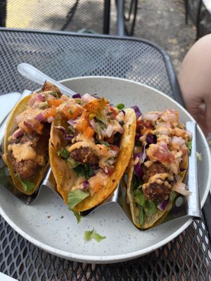 Fried Eggplant tacos with spicy mayo  at Cactú in Arecibo