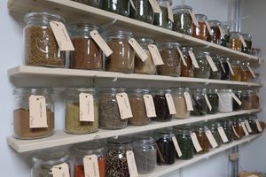 herbs and spices at De Gieterij in Wageningen