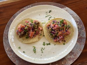 Falafel tacos at The Pink Coconut in Cancun