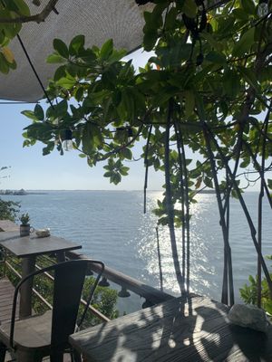   at The Pink Coconut in Cancun