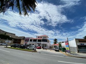  at The Pink Coconut in Cancun