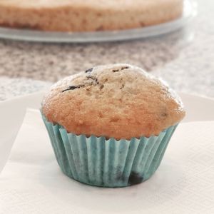 Blueberry Muffin at Xato in Moledo