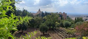 Granada at Finca Pereila in Coin