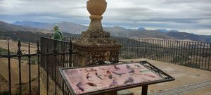 Ronda at Finca Pereila in Coin
