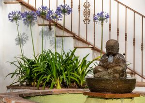   at Finca Pereila in Coin