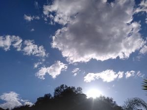  at Finca Pereila in Coin