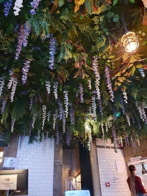  at The Dirty Bottles in Alnwick