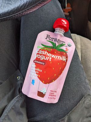 Forager squeeze yogurt at Whole Foods Market in Reno