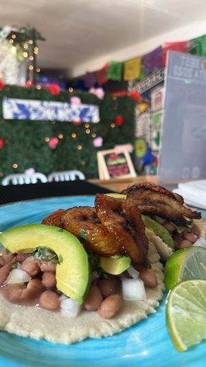 Hand made tacos with pinto beans, plantains & fresh avocado  at Casa Azul Taqueria in Providence
