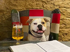 Dog friendly!   at Harbour Lights in Paignton