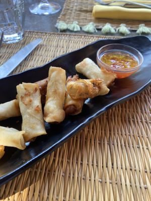 Thai rolls  at Le Serre by Vivi in Rome