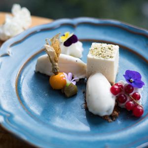 Gelato at MA and The Seeds of Life in Hong Kong Island