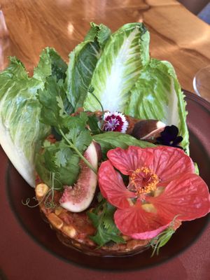   at MA and The Seeds of Life in Hong Kong Island