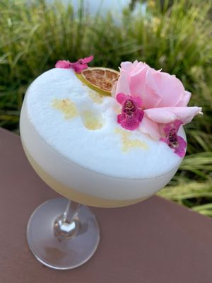 Second vegan cocktail! They use aquafaba for vegan froth. Yum!  at Park and Cove in Noosa Heads