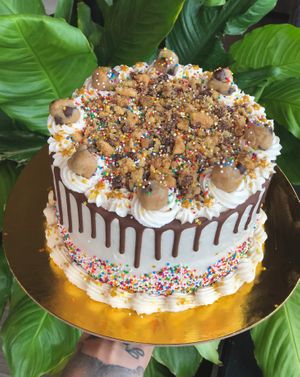 Custom Cake at Cats Luck Vegan in Neptune City