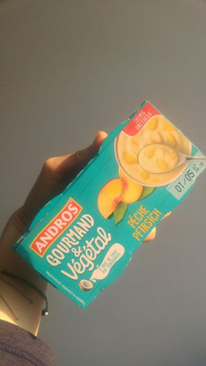 Yoghurt at Billa Plus in Kittsee