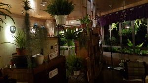 Full with plants. cozy environment.
feel very comfortable here. at Sushi Kitchen - Sungai Ara in Penang