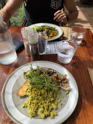 Scrambled tofu and mushrooms  at Tribe Cafe in Batemans Bay