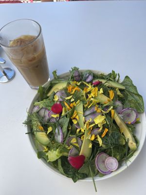   at Parakeet Cafe in Coronado