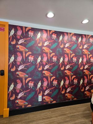 Wallpaper at Parakeet Cafe in Coronado