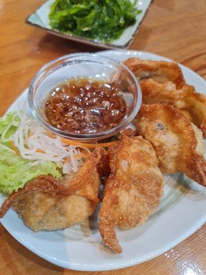 Homemade Deep Fried Dumplings ~ 11/8/22 at Lucky Cat Cafe in Northeast Singapore