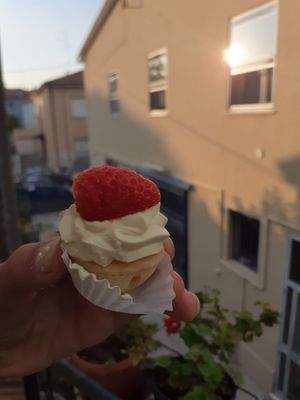 vegan!! at Forno Pasticceria Antico Porto in Ravenna