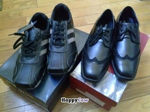 mens casual and dress shoes at Alternative Outfitters in Pasadena