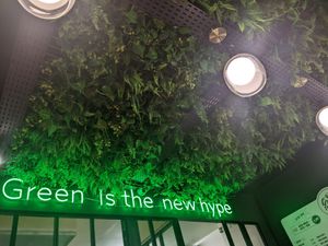 The ceiling at Green Farmer's in Paris