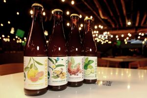 Kombucha. Choose your flavor: Original, Mojito, Tamarind, Tropical at Verde Y Rojo in Tijuana