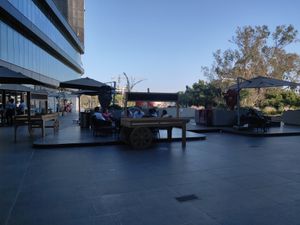 Outside dining at Verde Y Rojo in Tijuana