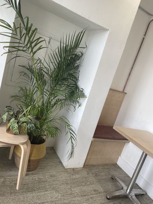   at The Old Dairy  in Lowestoft