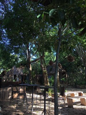 All the place is outdoors at Líquido y Sólido in Tulum