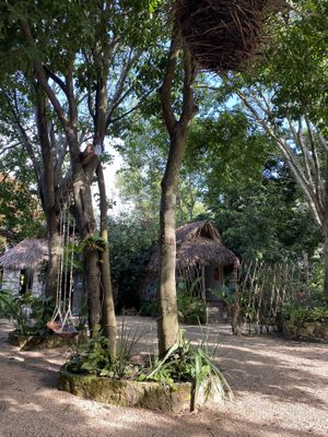 Outdoor  at Líquido y Sólido in Tulum