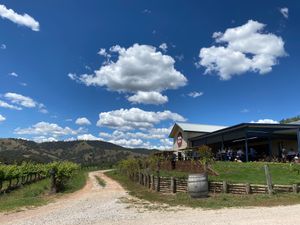 Setting at Moothi Estate in Mudgee