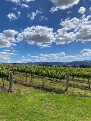 View of winery  at Moothi Estate in Mudgee