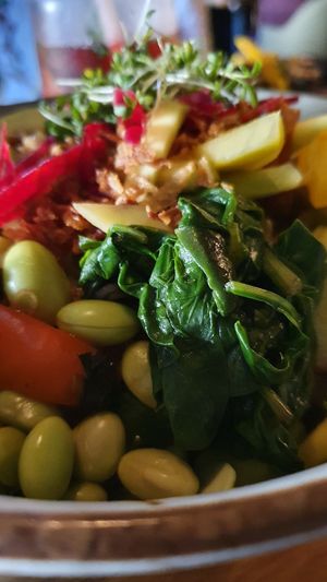  at BODHI - Vegan Living in Hamburg