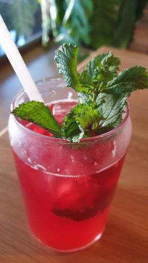  at BODHI - Vegan Living in Hamburg