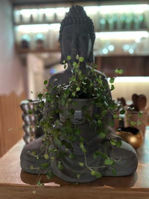   at BODHI - Vegan Living in Hamburg