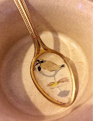 Cute spoon at Yaffle Cafe and Bookshop in Derby