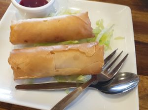 Veggie spring rolls are vegan.  at Red Dragon in Heathcote