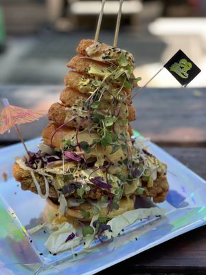 Bluto at HapPea Vegans in Austin