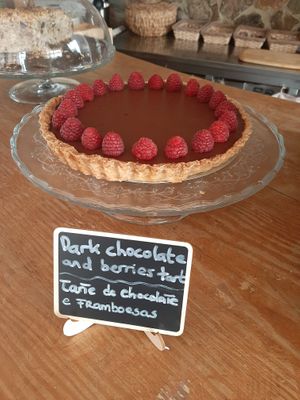 Dark chocolate and berries tart at A Tribo in Barao De Sao Joao