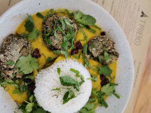 Curry at A Tribo in Barao De Sao Joao