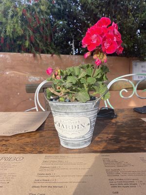 💚 at A Tribo in Barao De Sao Joao