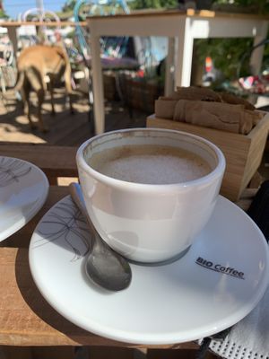 Oat milk cappuccino  at A Tribo in Barao De Sao Joao