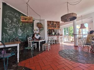 Interior at A Tribo in Barao De Sao Joao